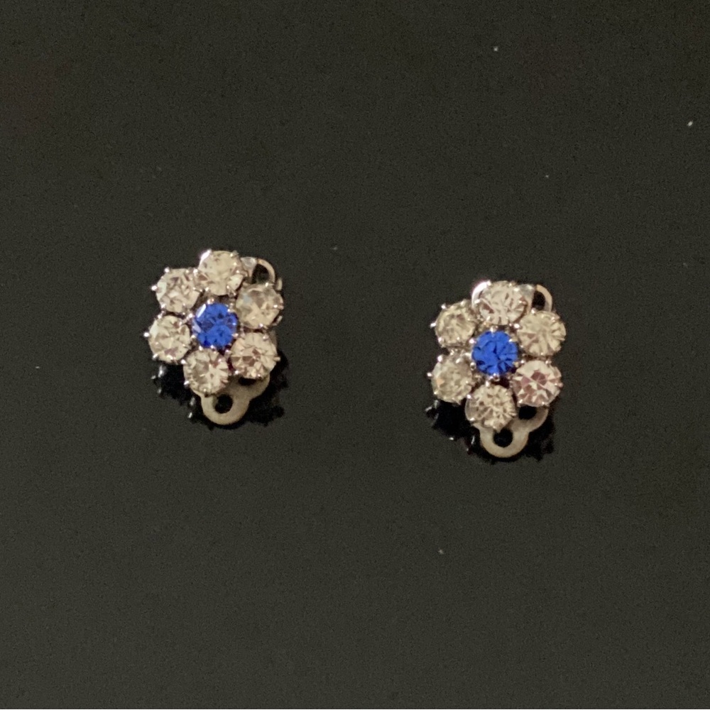 Elegant Blue and Silver Floral Earrings